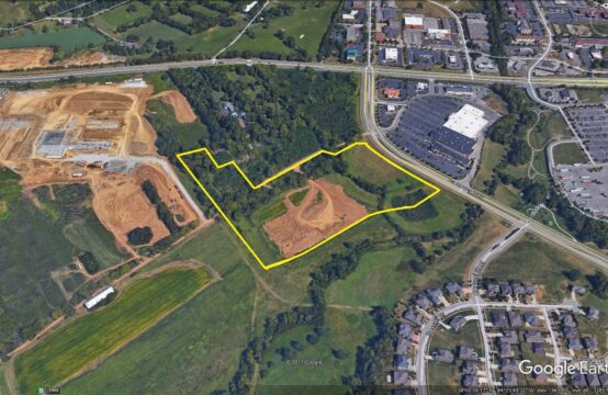 Development Site (Springs at Hamburg)